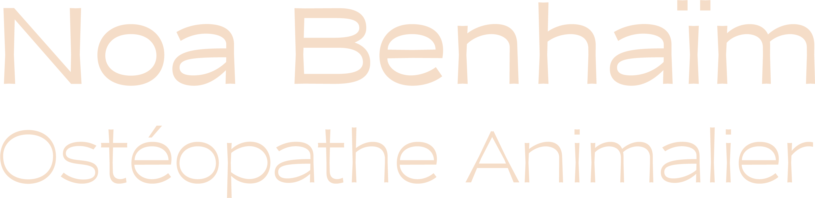 logo Noa Benhaïm - Ostéopathe Animalier
